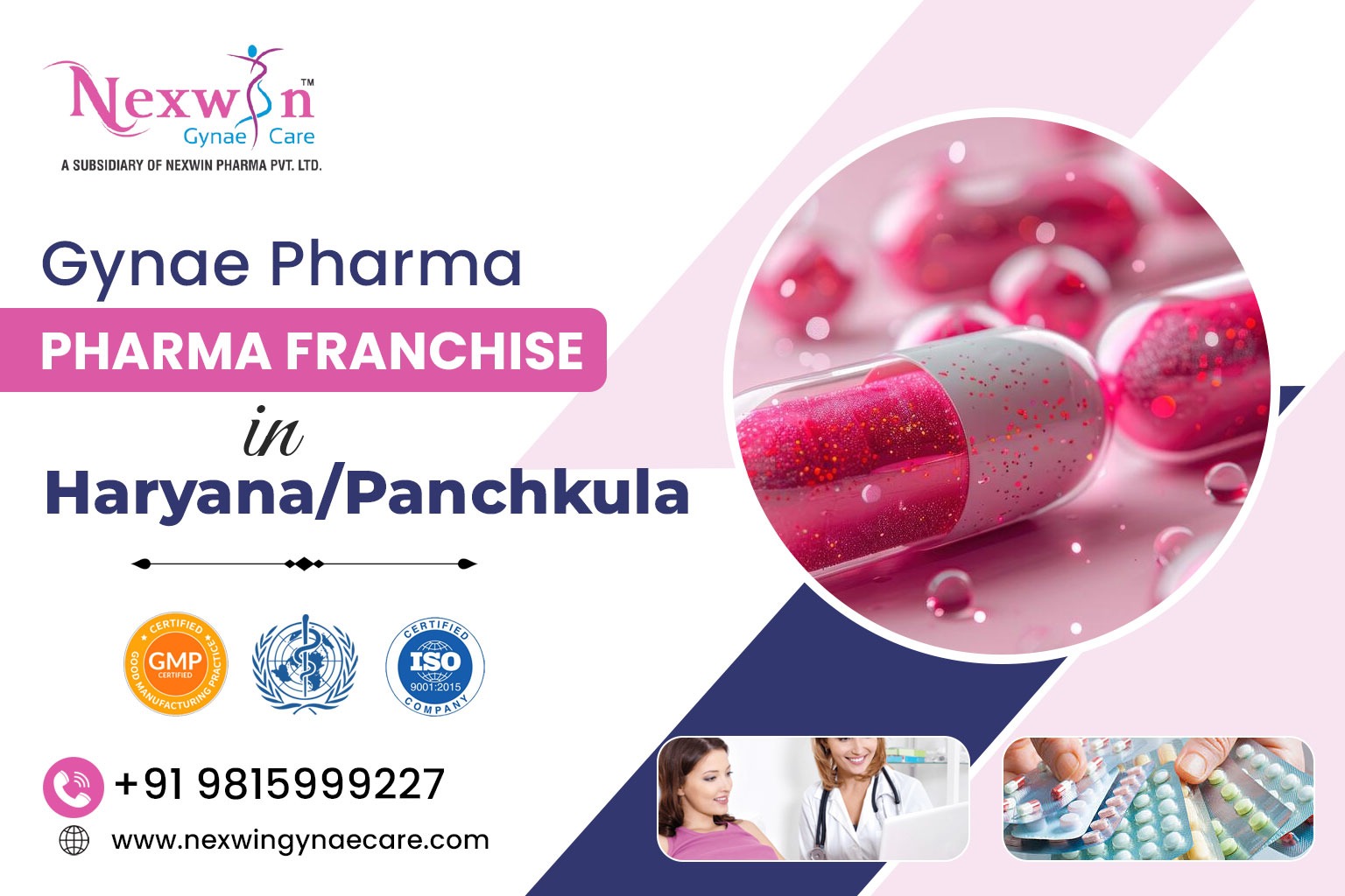Gynae Pharma Franchise in Haryana Panchkula
