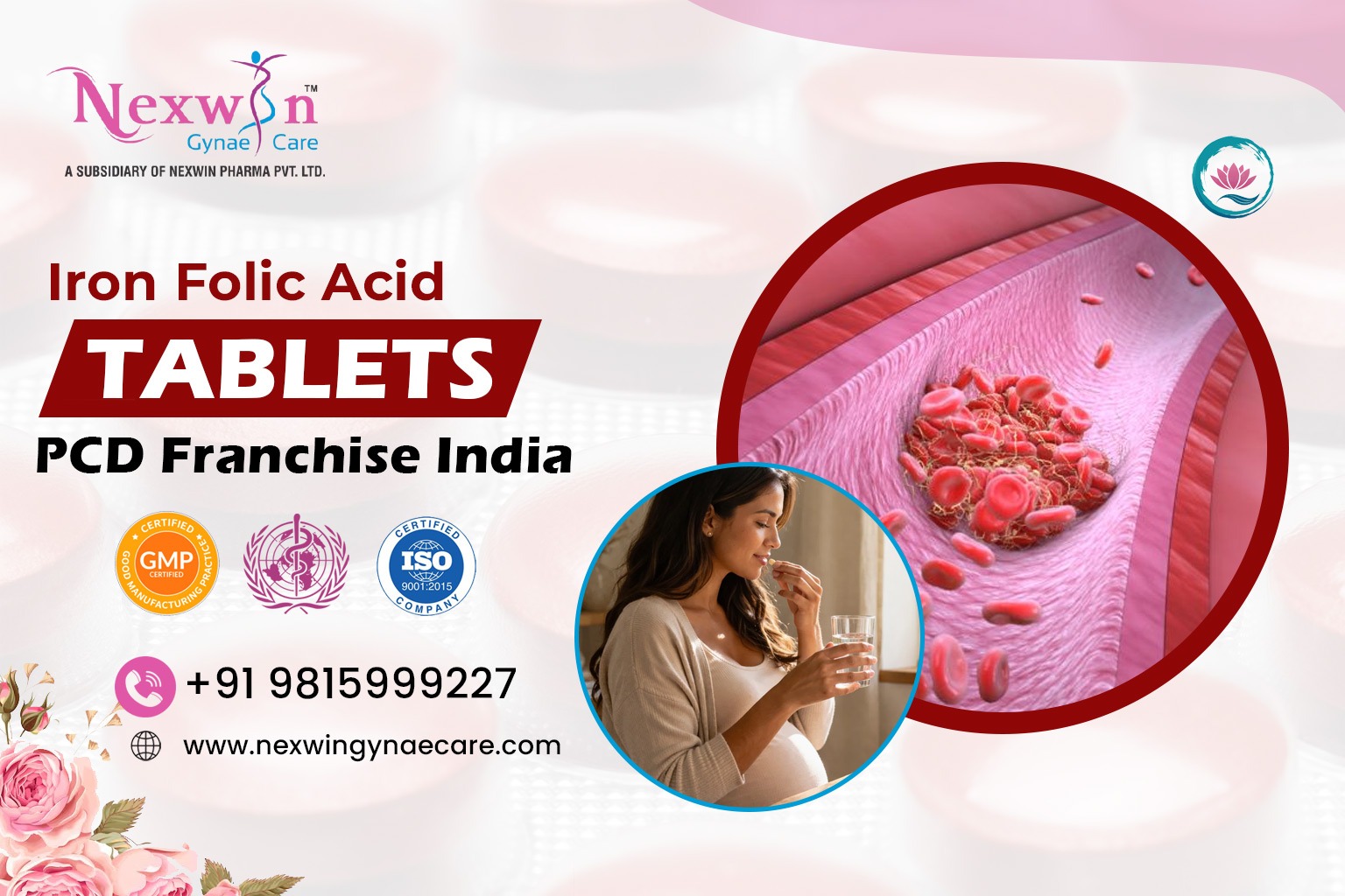 Iron Folic Acid Tablets PCD Franchise India